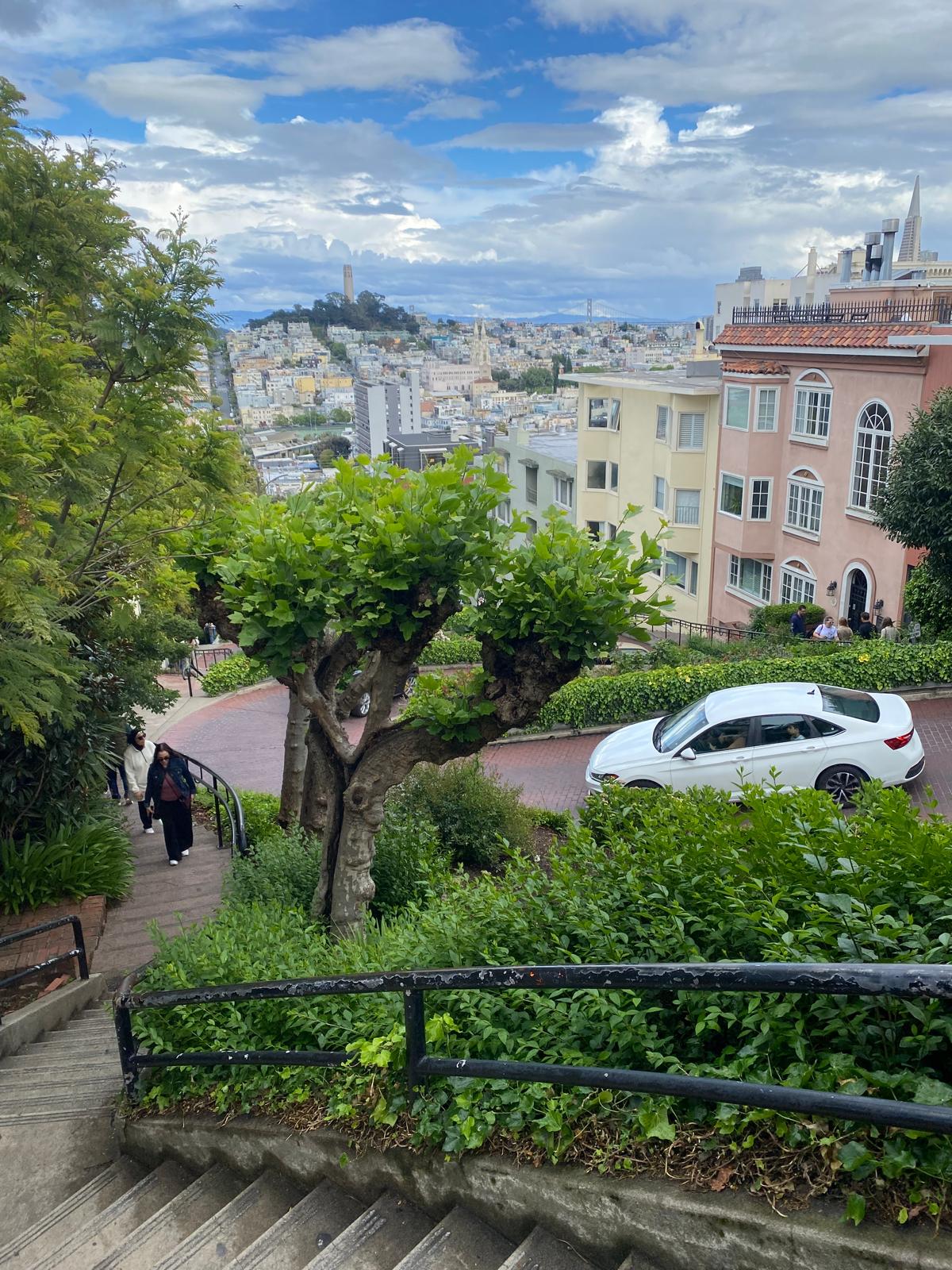 San Francisco Downtown Loop: Waterfront Views, Steep Streets, and Hidden Lanes photograph 1