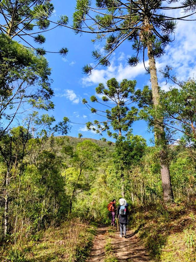 Caminho de Ouro: Walking Brazil’s Forgotten Gold Road photograph 1