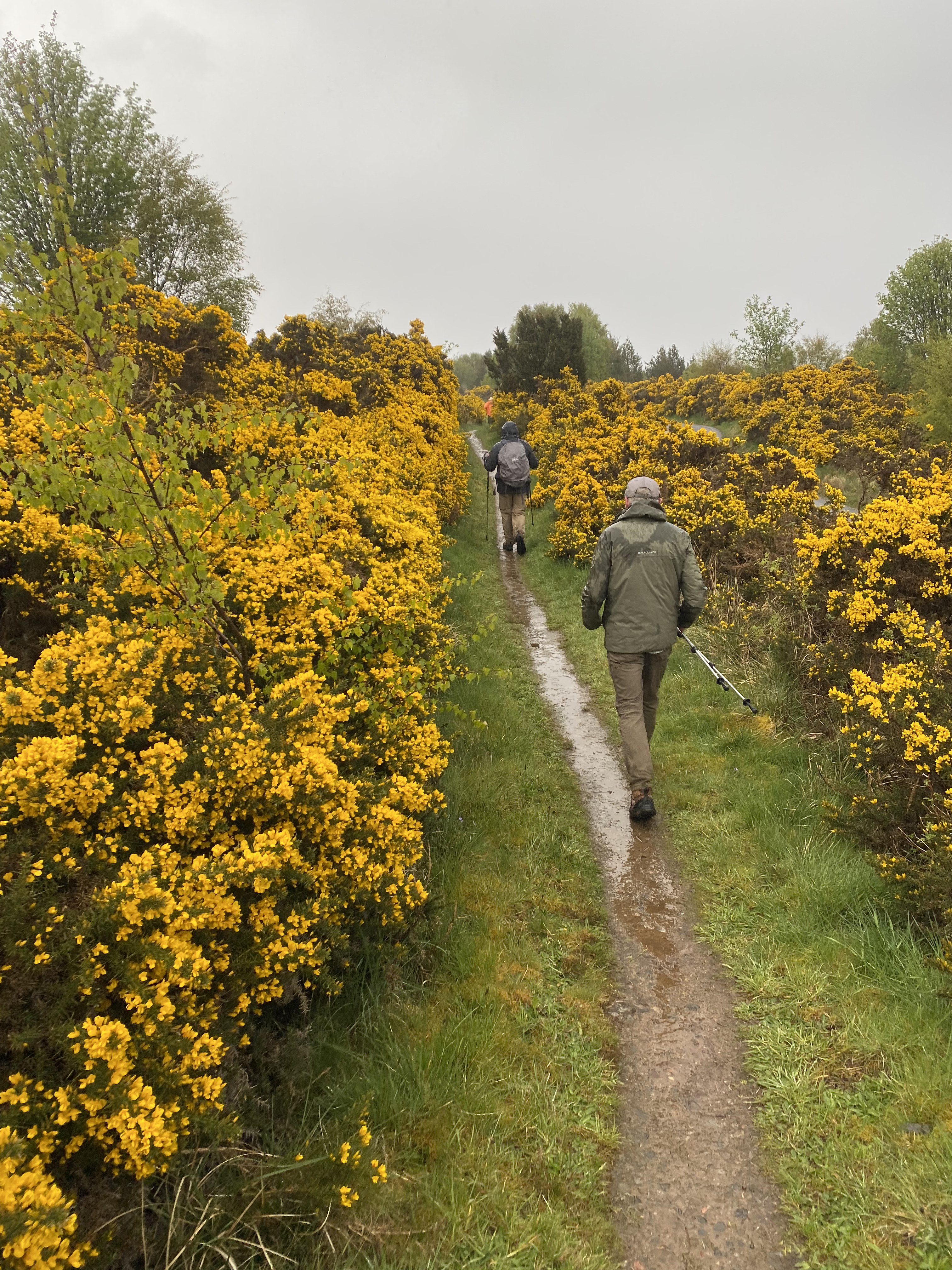 The Great Glen Way: 30-Mile Push, Loch Ness, and One Very Wet Day photograph 2