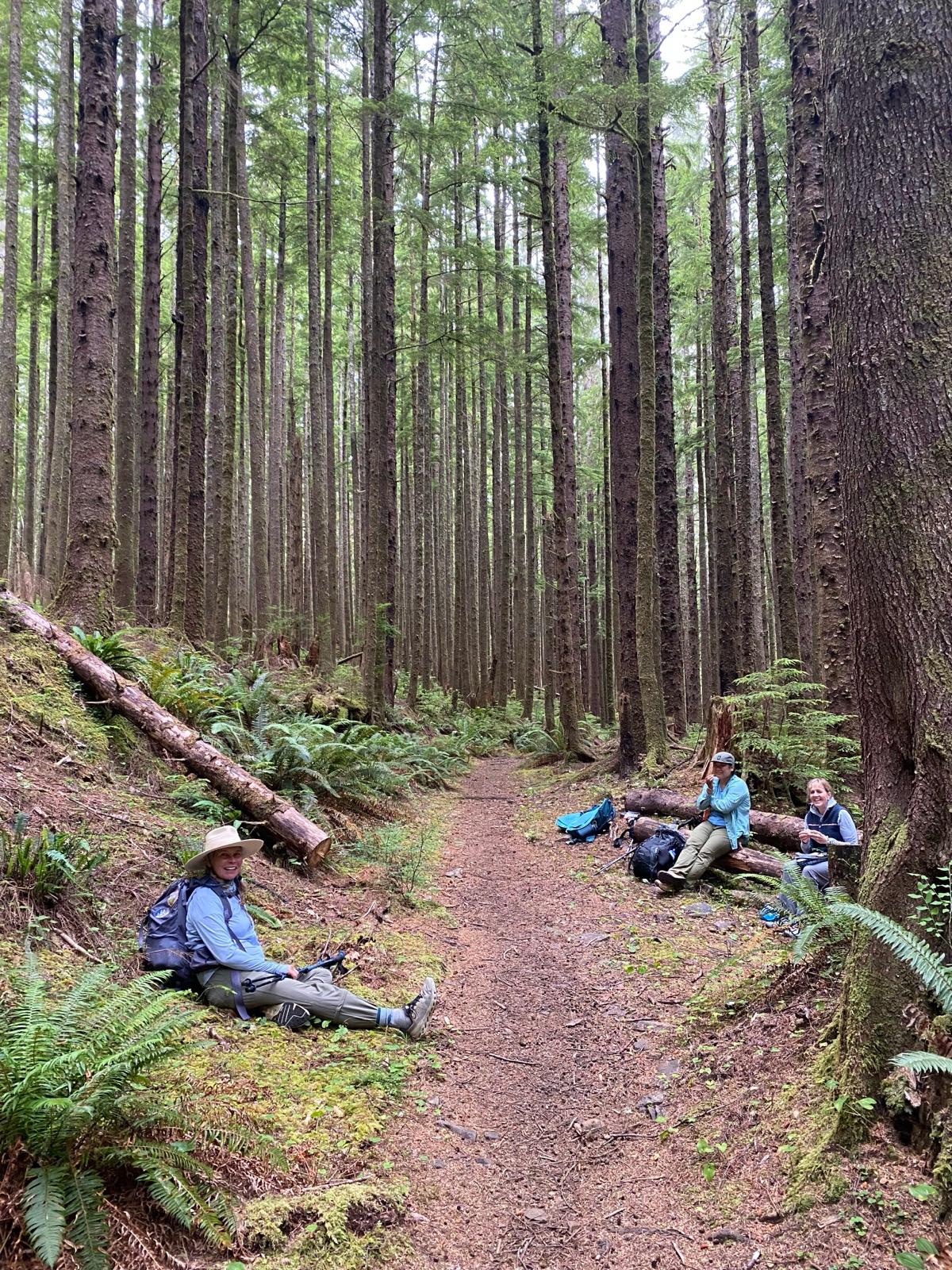 Walking the Oregon Coast: From Dunes to Headlands photograph 3