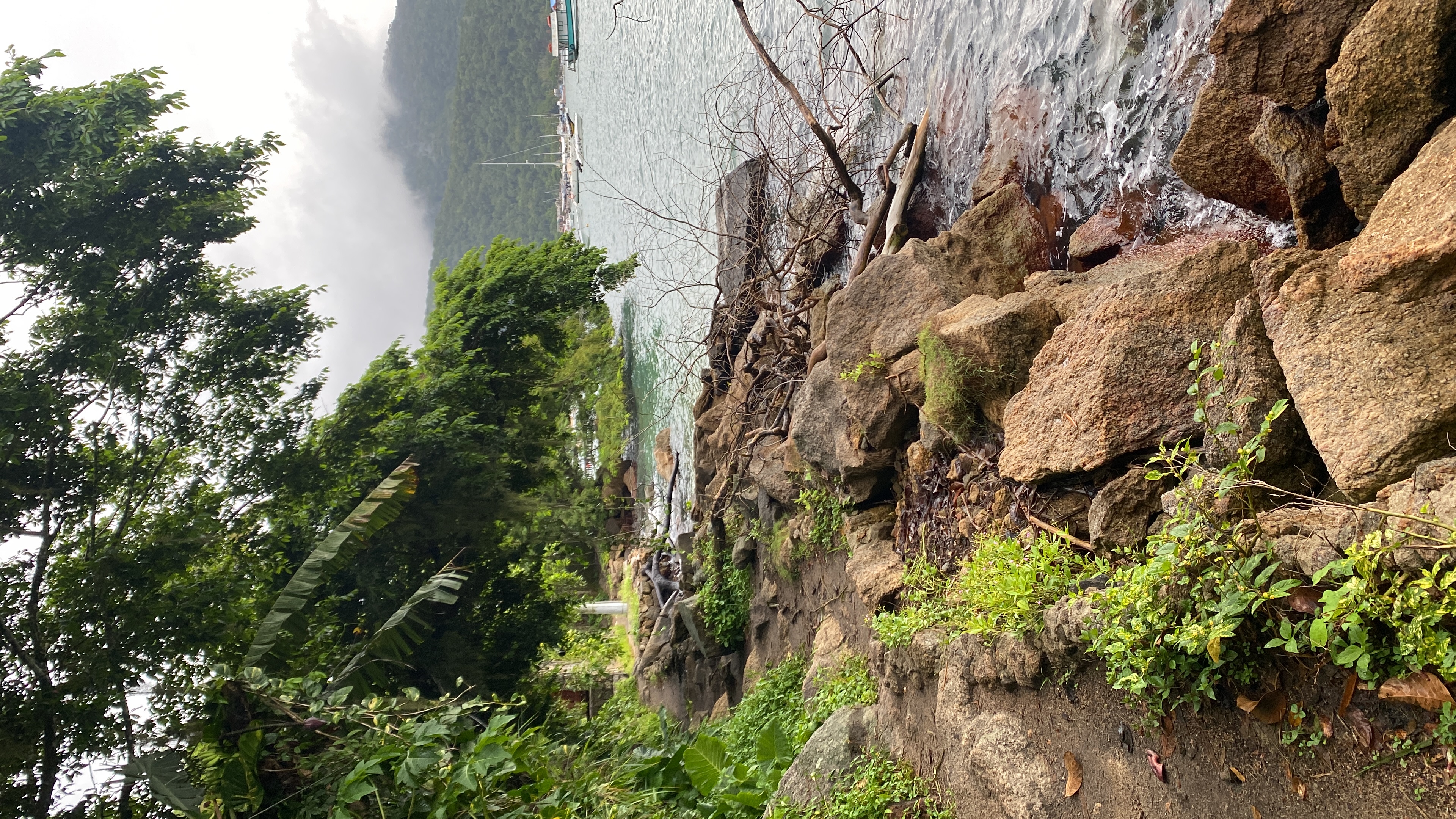 Ilha Grande: Rainforest Trails and Beaches Without Roads photograph 3